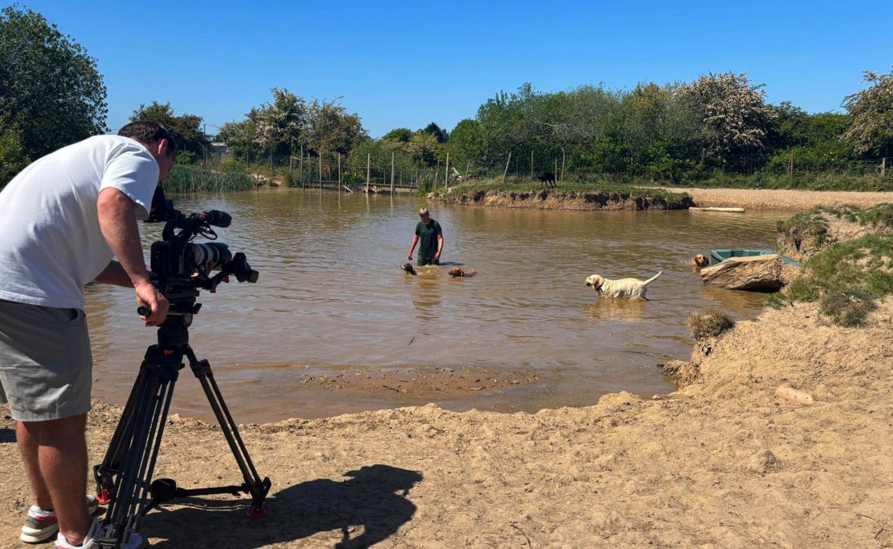bbc film crew shooting at Dogs Country Club with dogs swimming in lake